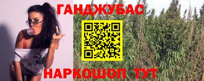 ECSTASY Можга