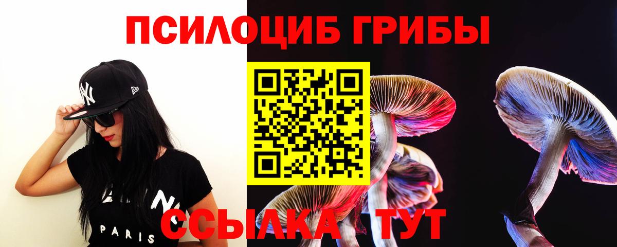 Альметьевск  Галлюциногенные грибы GOLDEN TEACHER  Вход с VPN 